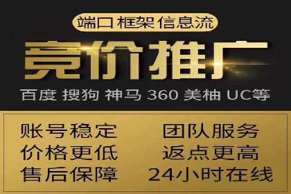 某某SEM团队成功提升网站流量与转化率的实战经验
